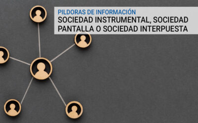 La Sociedad instrumental, más conocida como sociedad “pantalla” o “interpuesta”